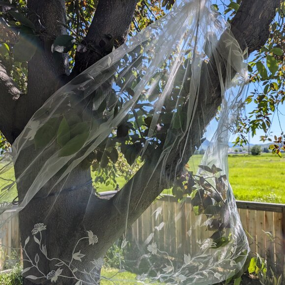 ZANA | Romantic fingertip embroidery floral veil - Picture 2 of 5